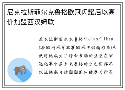 尼克拉斯菲尔克鲁格欧冠闪耀后以高价加盟西汉姆联
